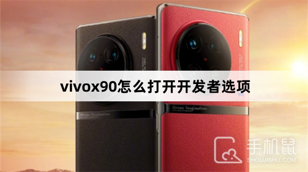 vivox90怎么打开开发者选项