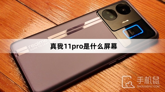 真我11pro是什么屏幕