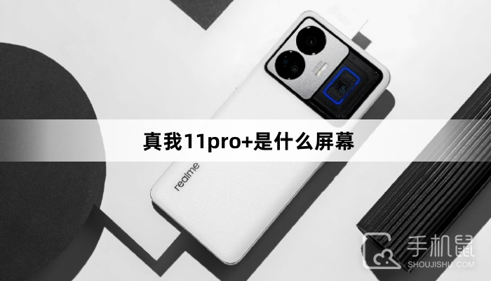 真我11pro+是什么屏幕