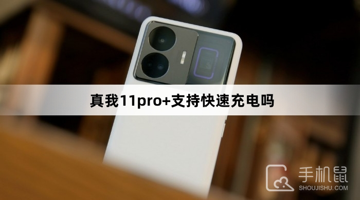 真我11pro+支持快速充电吗