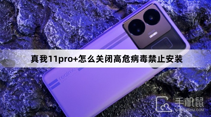 真我11pro+怎么关闭高危病毒禁止安装