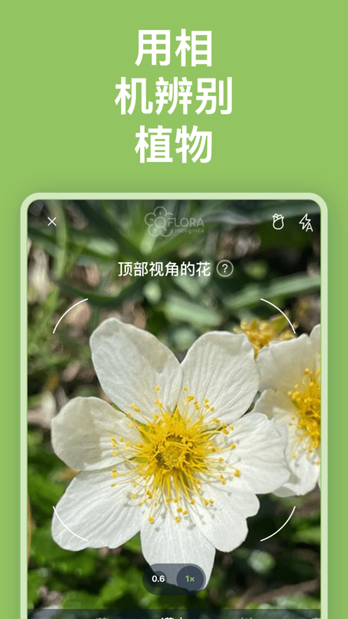 Flora Incognita植物识别app