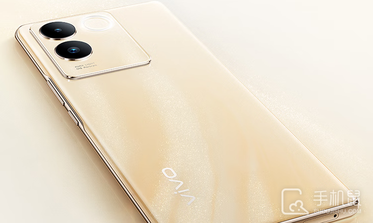 vivo S17e是TypeC接口吗