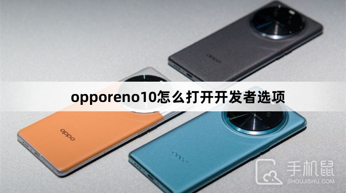 opporeno10怎么打开开发者选项