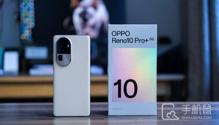 OPPOReno10Pro+怎么切换4G网络