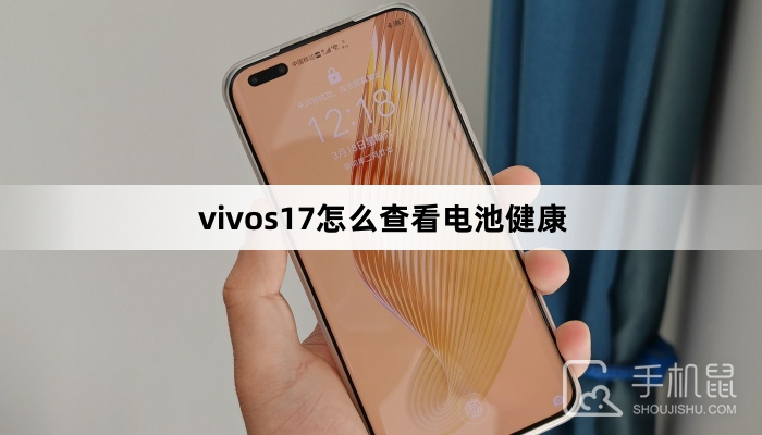 vivos17怎么查看电池健康