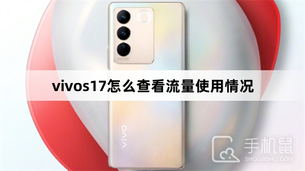 vivos17怎么查看流量使用情况