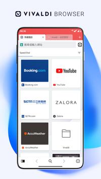 Vialdi浏览器