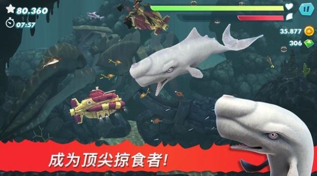 饥饿鲨进化2015旧版