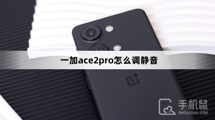 一加ace2pro怎么调静音