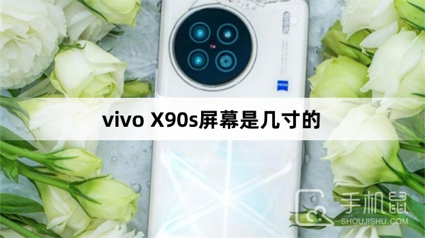 vivo X90s屏幕尺寸介绍