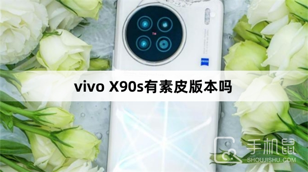 vivo X90s有素皮版本吗