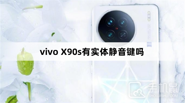 vivo X90s有实体静音键吗