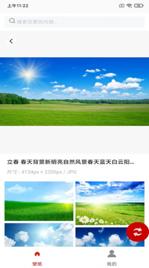 白鸽壁纸app