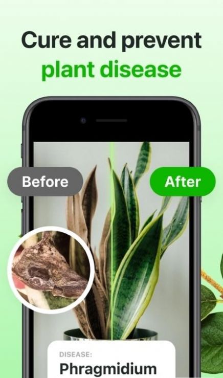 Florae植物养护app手机版图片1