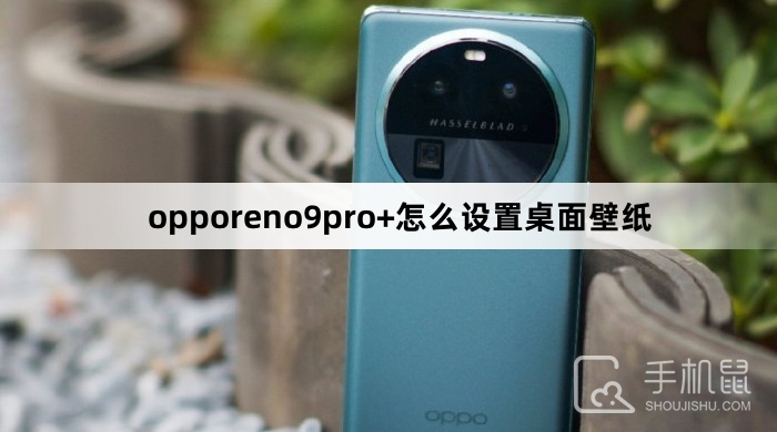 opporeno9pro+怎么设置桌面壁纸