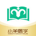 小羊医学app