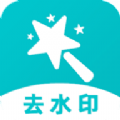 简简视频去水印app