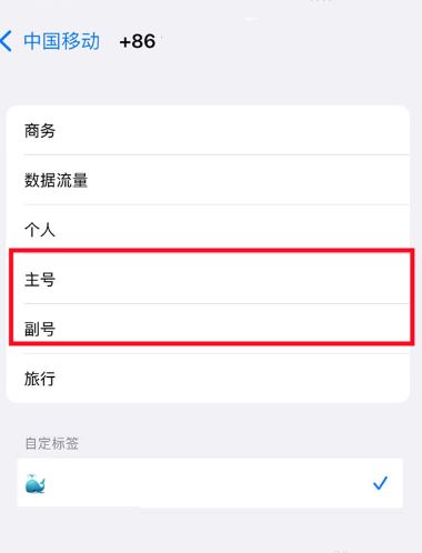 iphone15pro怎么双卡双待