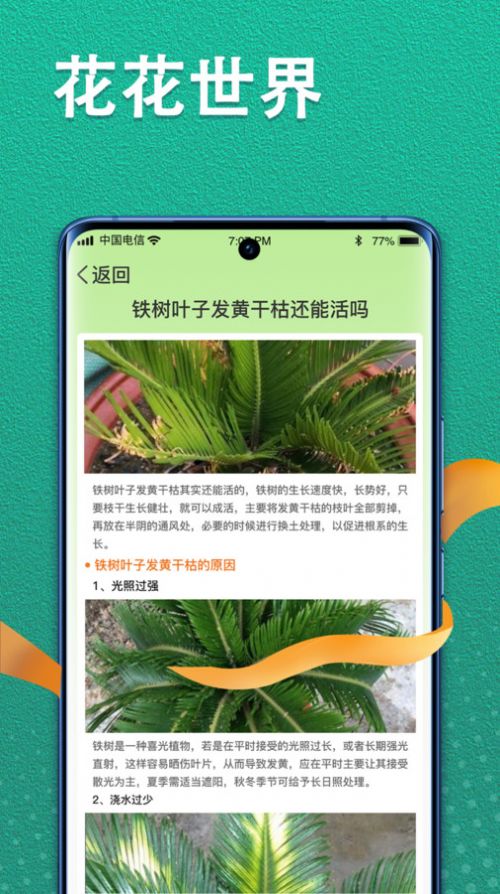 植物视界app手机版