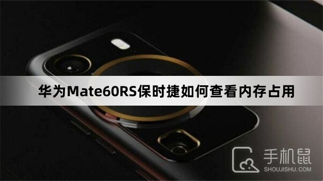华为Mate60RS保时捷如何查看内存占用-华为Mate60RS保时捷查看内存占用方法介绍