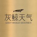 灰鲸天气app安卓版