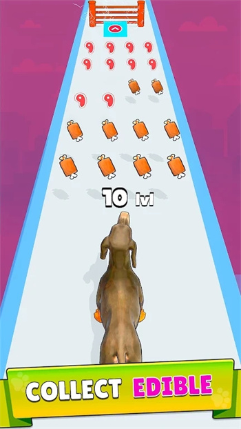 狗狗进化跑酷游戏