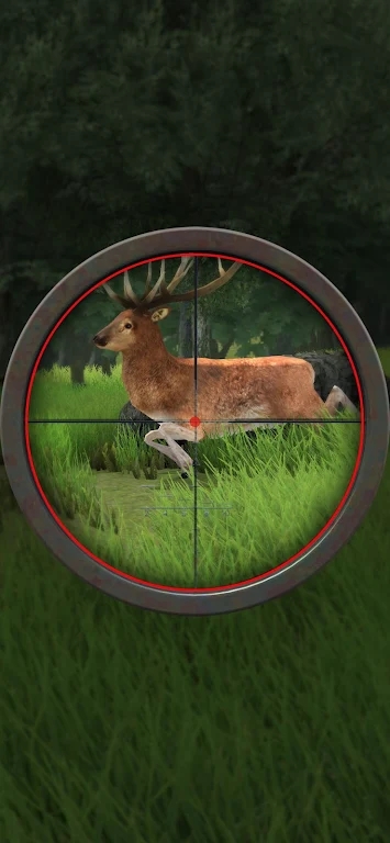 狩猎野生动物游戏内置菜单版
