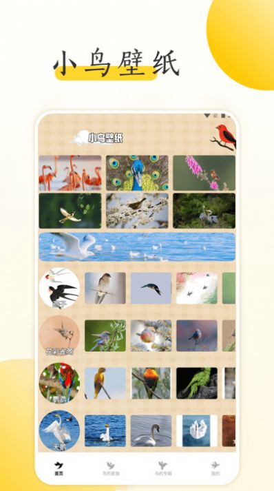 小鸟壁纸大全安卓版app图片1