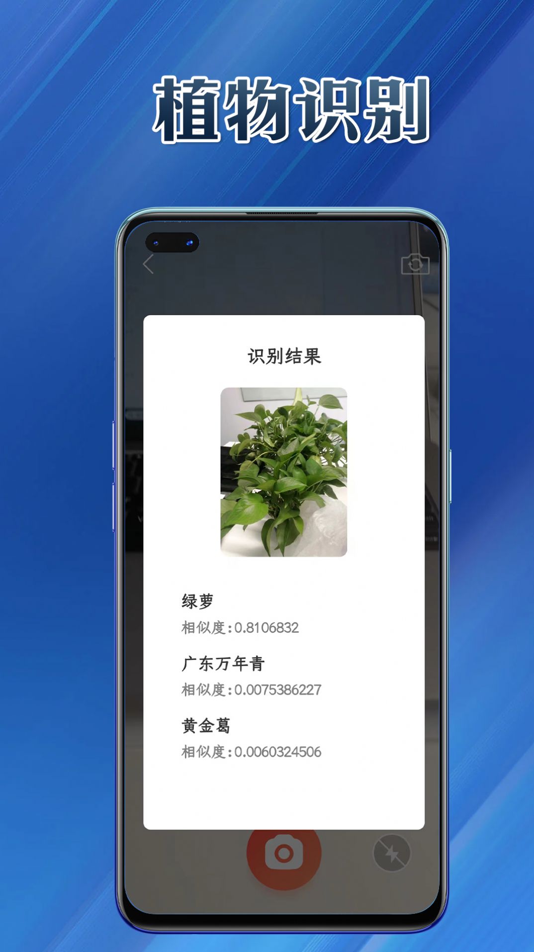 提效大师app官方版图片1