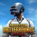 PUBG国际服绿体文件2.7