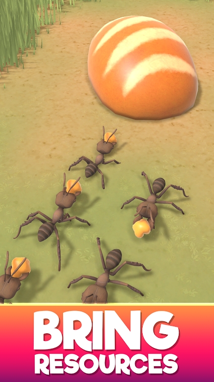 蚂蚁建造游戏