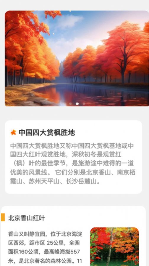 枫叶悦看app最新版图片1