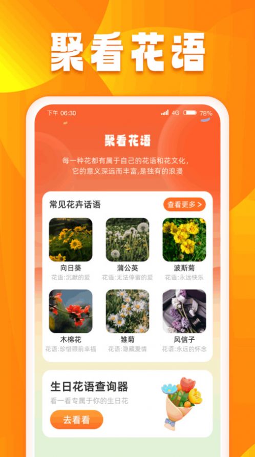 口袋聚看app官方版图片1