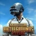 pubg浏览器下载安装