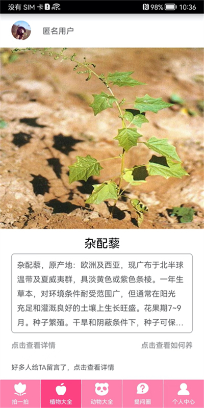 拍照识物app